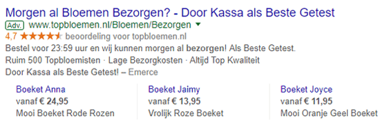 Voorbeeld-Google-AdWords-advertentie